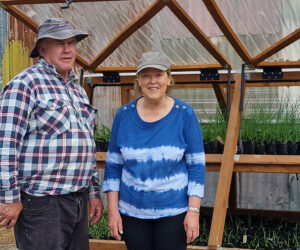 Swannanoa farmers Brian and Rosemary Whyte with over 1000 native seedlings grown on their farm this season for the first stage of a revegetation project.