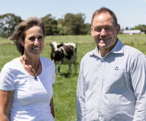 Quality data helps refine dairy herd