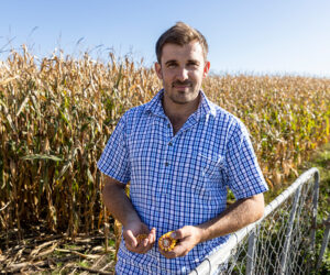Cust farmer Roscoe Taggart with his maize for grain crop which he is trialling for the first time this season.
