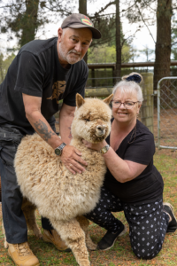 Peter and Sue Forbes with Tuscan Downs Cruz, an eight-month-old cria (baby alpaca).