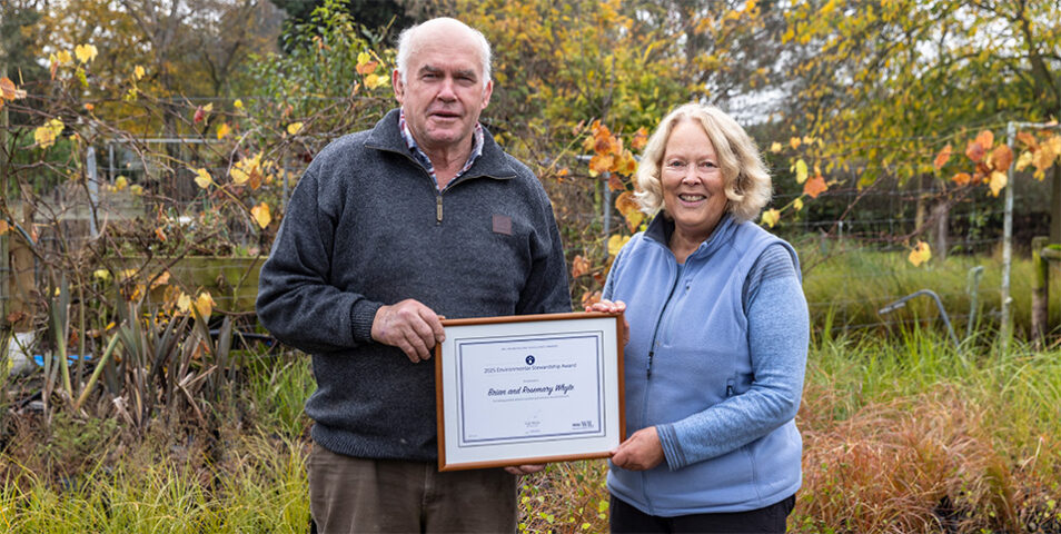Over 2000 seedlings planted by award-winning Swannanoa farmers ...